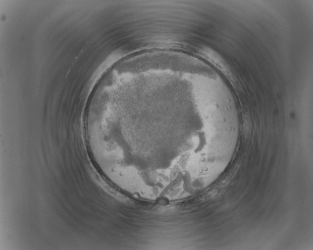 X0000078291283200612011800