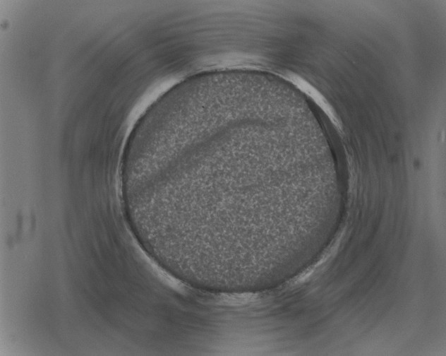 X0000078291285200612011800