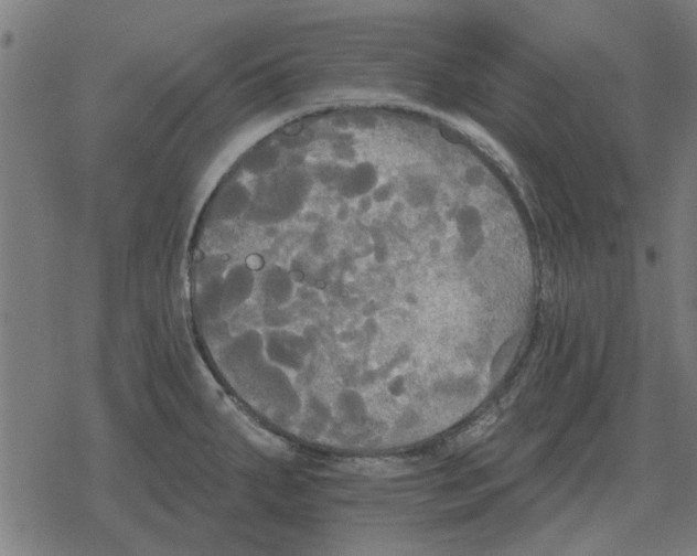 X0000078291287200612011800