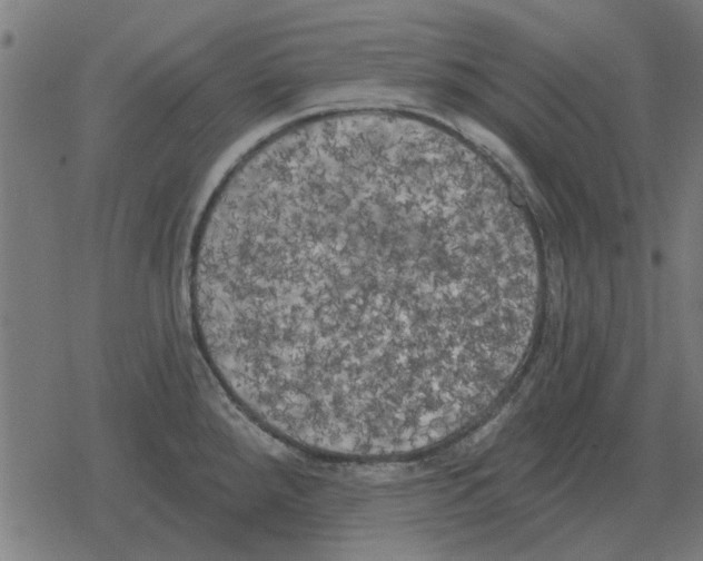 X0000078291288200612011800