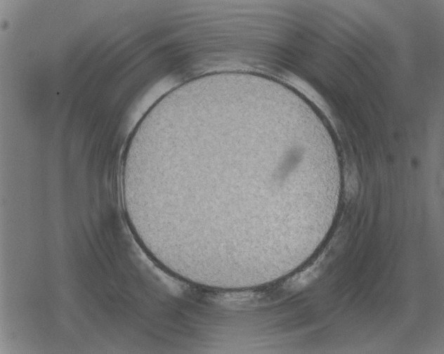 X0000078291290200612011800