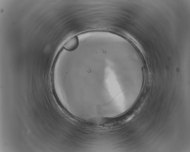 X0000078291291200612011800