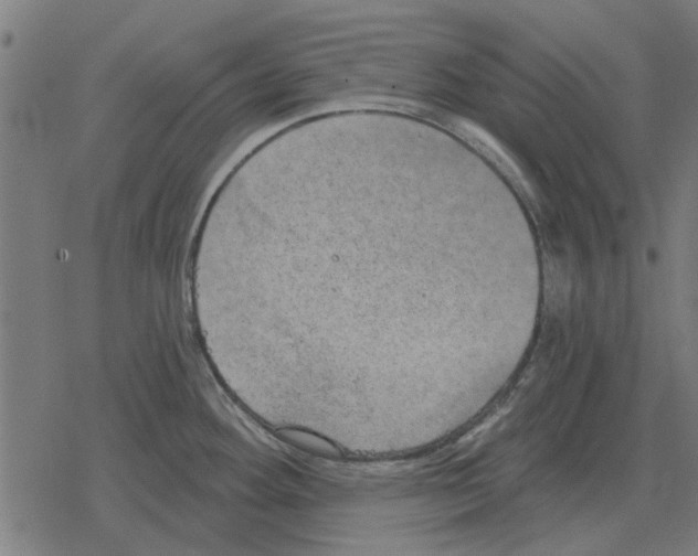 X0000078291292200612011800