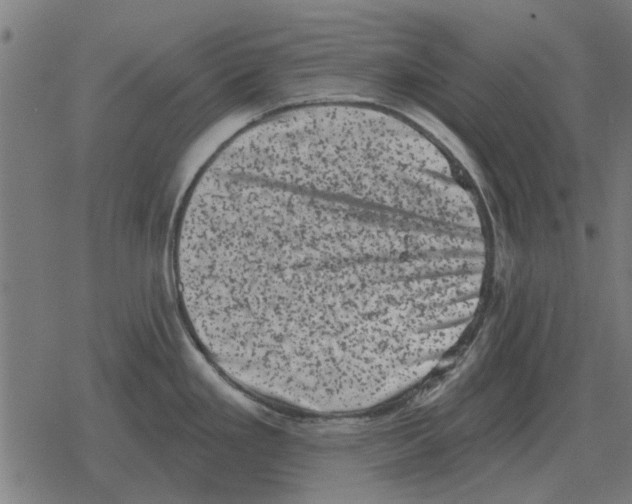 X0000078291293200612011800