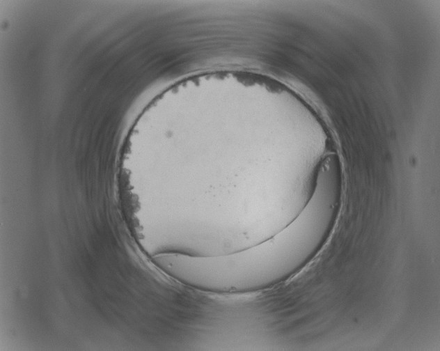 X0000078291296200612011800