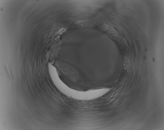 X0000078291298200612011759