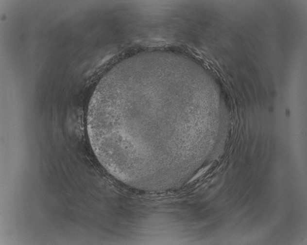 X0000078291301200612011759