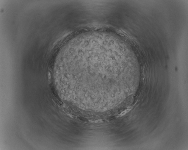 X0000078291302200612011759