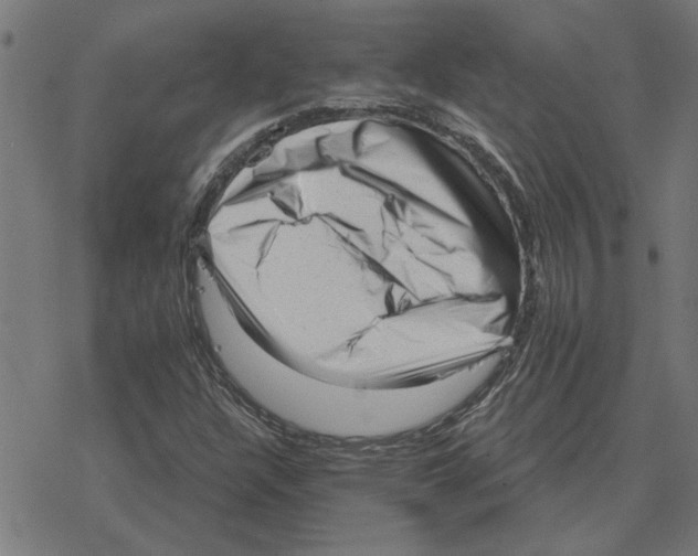 X0000078291304200612011759