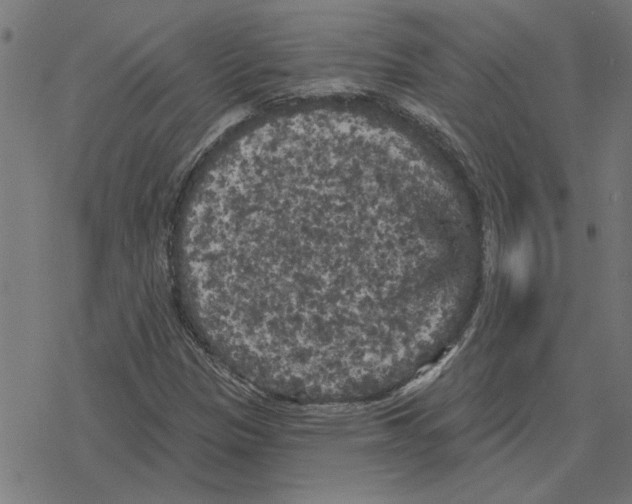 X0000078291305200612011759