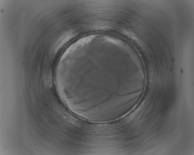 X0000078291306200612011759