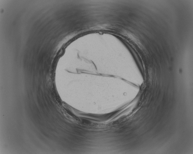 X0000078291308200612011759