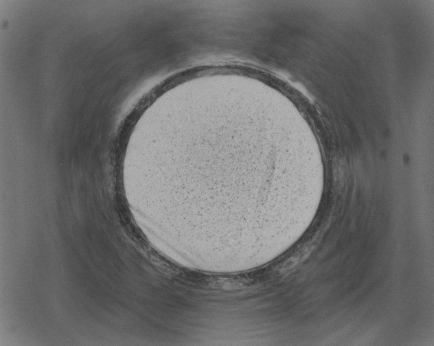 X0000078291311200612011759