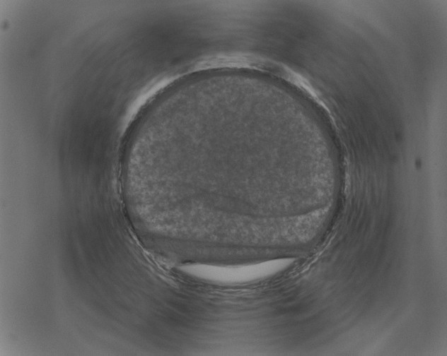 X0000078291312200612011759