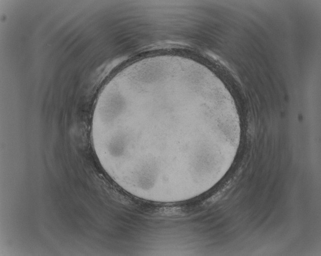 X0000078291313200612011759