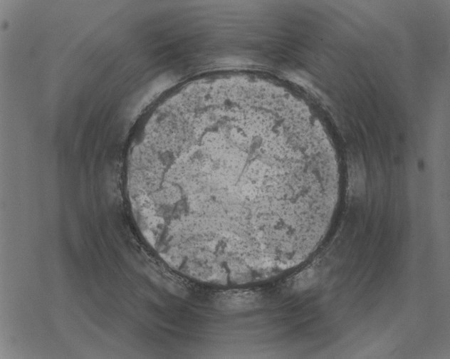 X0000078291314200612011759