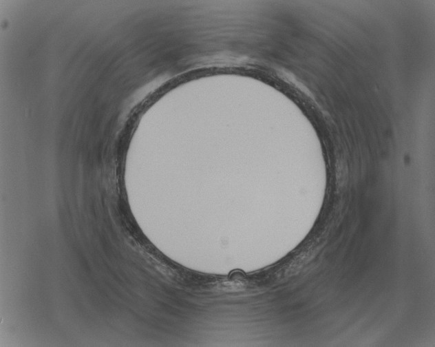 X0000078291315200612011759