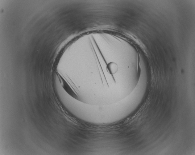 X0000078291316200612011759