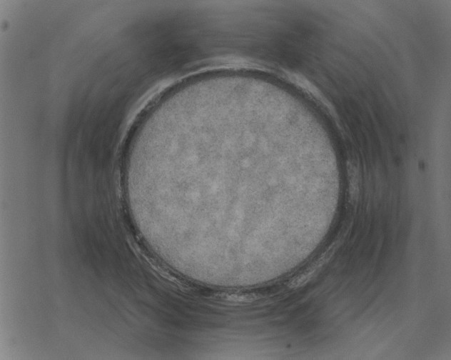 X0000078291318200612011759