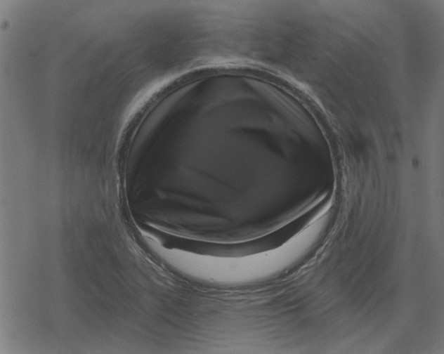 X0000078291319200612011759