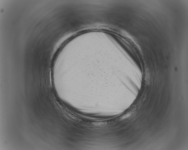 X0000078291320200612011759