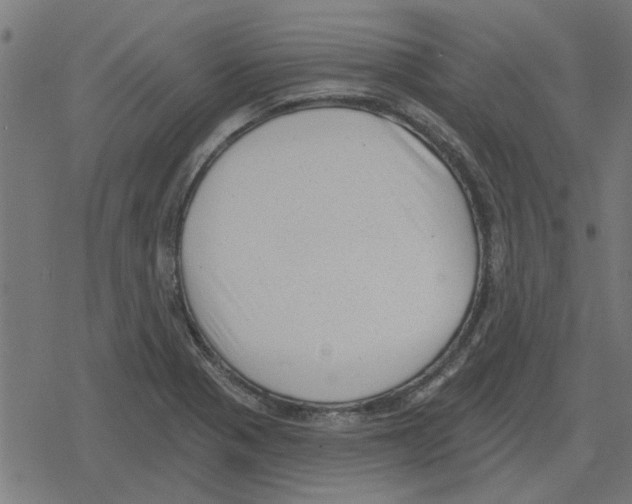 X0000078291321200612011759