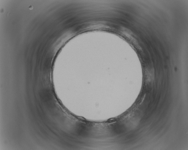 X0000078291322200612011759