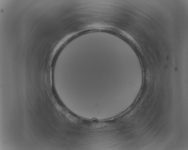 X0000078291323200612011759