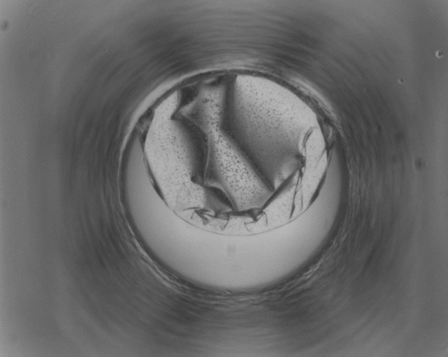 X0000078291324200612011759