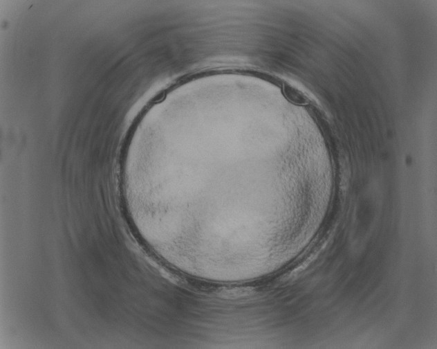 X0000078291325200612011759