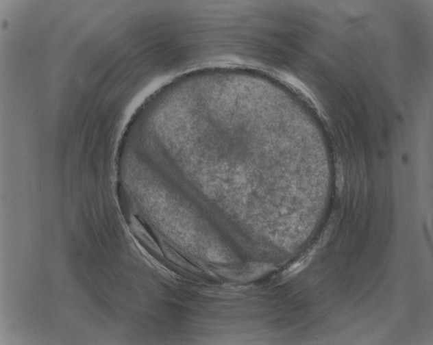 X0000078291326200612011759