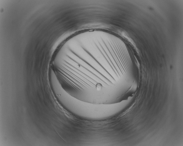 X0000078291328200612011759