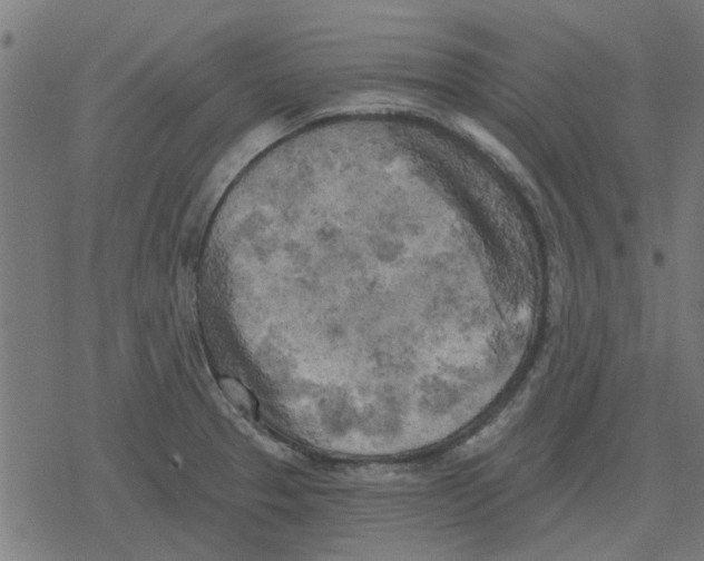 X0000078291329200612011759