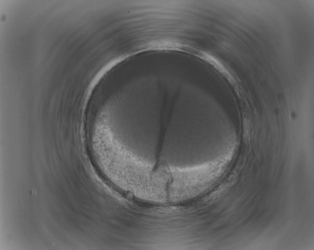 X0000078291331200612011759