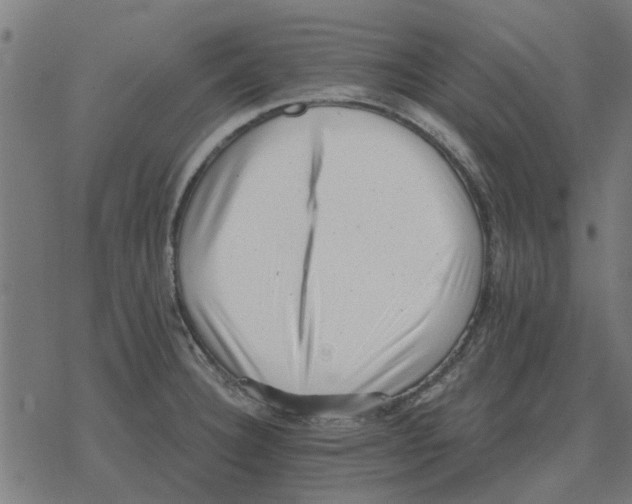 X0000078291332200612011759