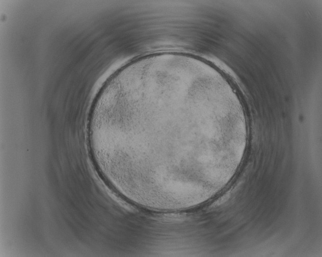 X0000078291333200612011759