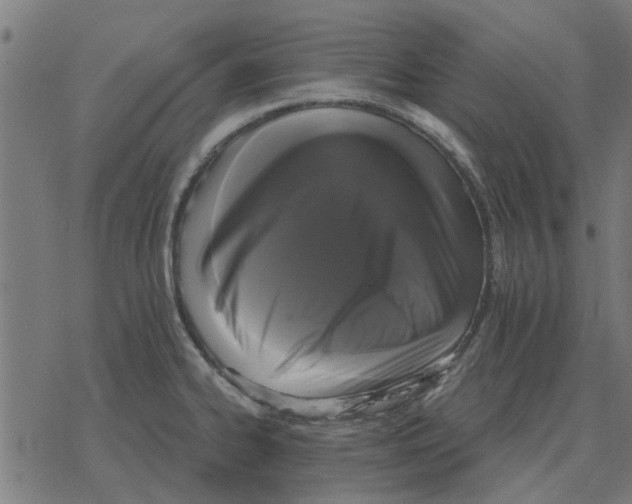 X0000078291334200612011759