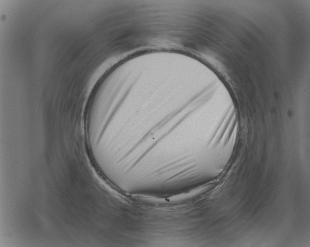 X0000078291335200612011759