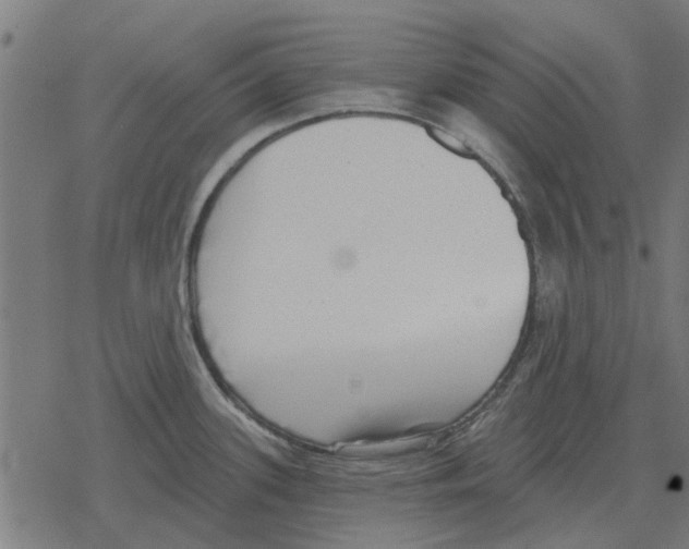 X0000078291339200612011759