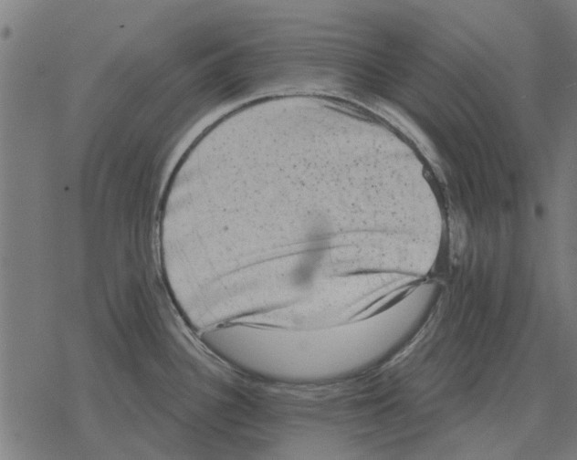 X0000078291340200612011759