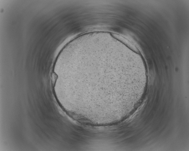 X0000078291341200612011759