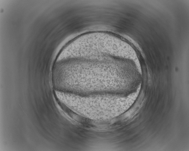 X0000078291342200612011759