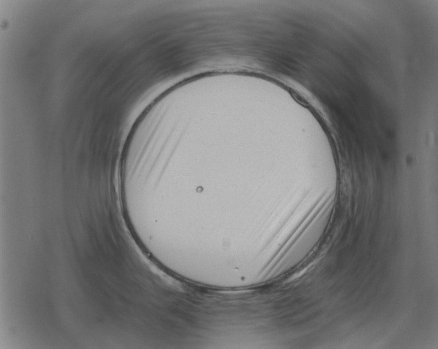 X0000078291343200612011759