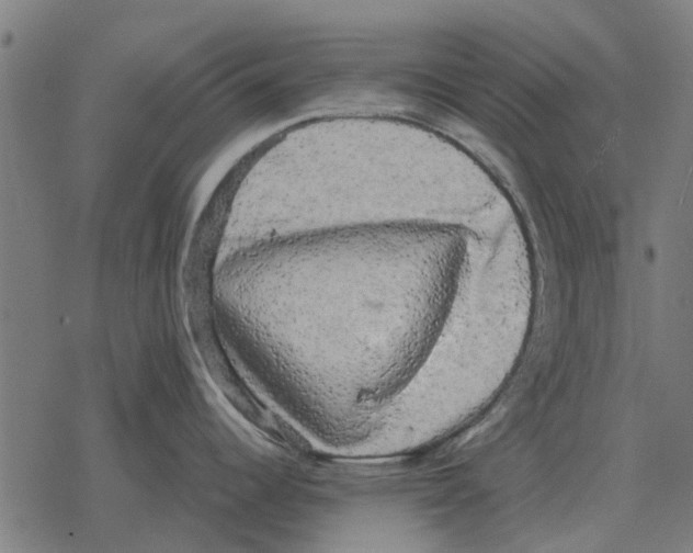 X0000078291344200612011759