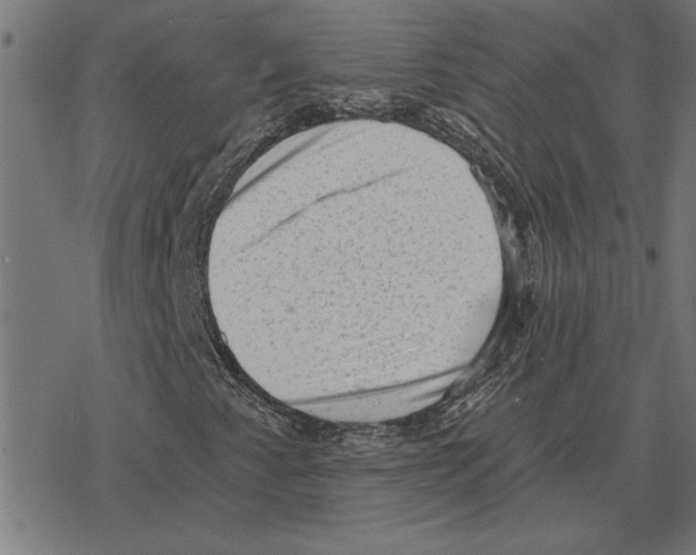 X0000078291345200612011759