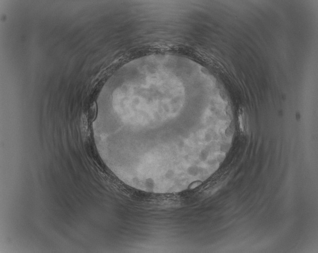 X0000078291347200612011759