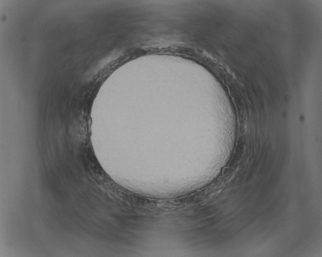 X0000078291350200612011759