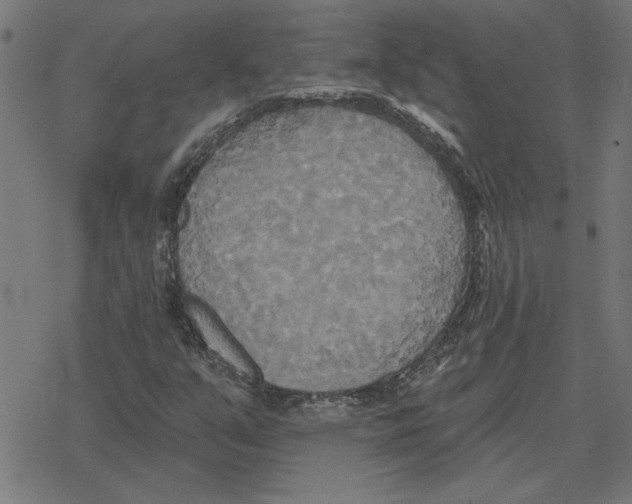 X0000078291351200612011759