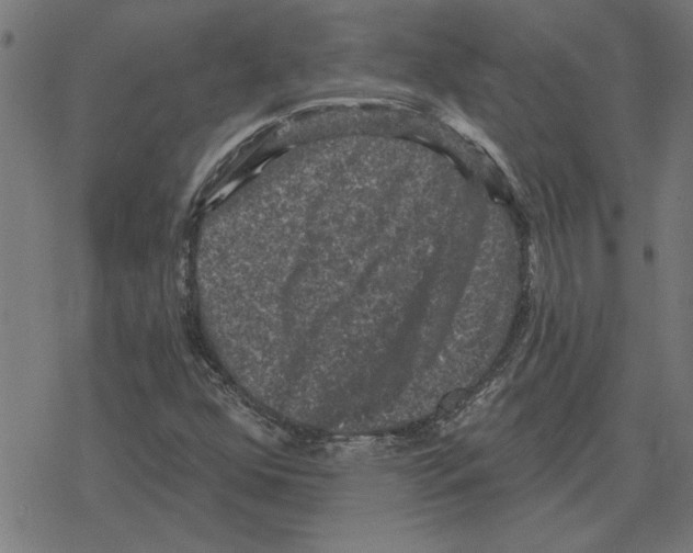 X0000078291352200612011759