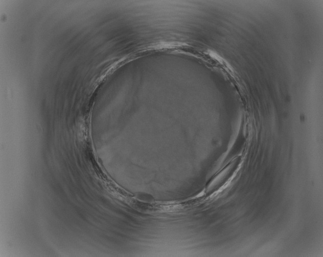 X0000078291353200612011759